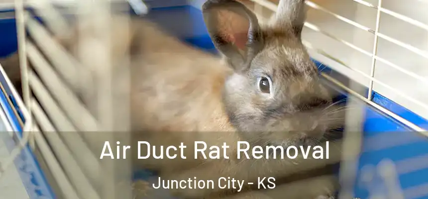 Air Duct Rat Removal Junction City - KS