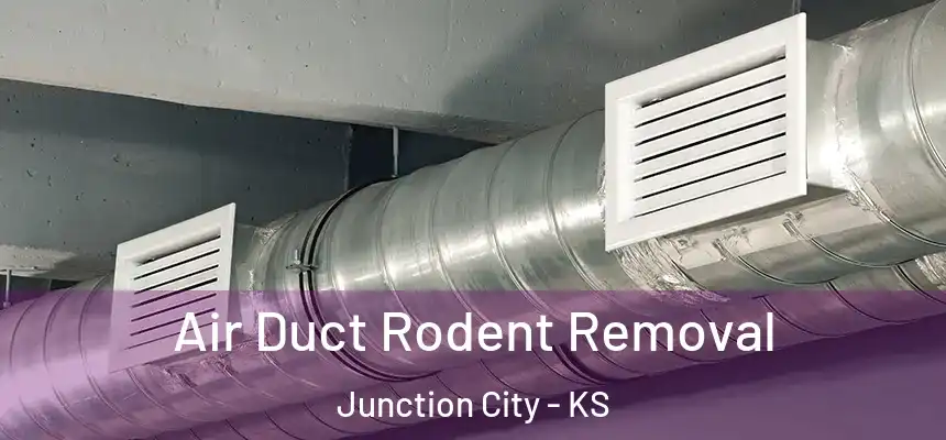  Air Duct Rodent Removal Junction City - KS