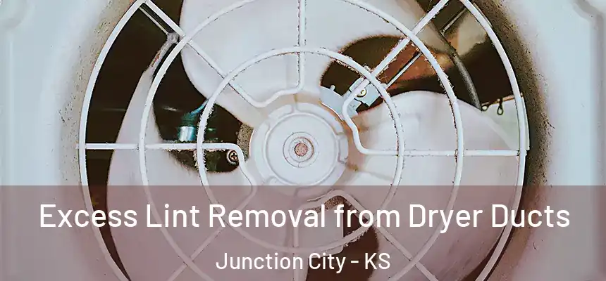 Excess Lint Removal from Dryer Ducts Junction City - KS