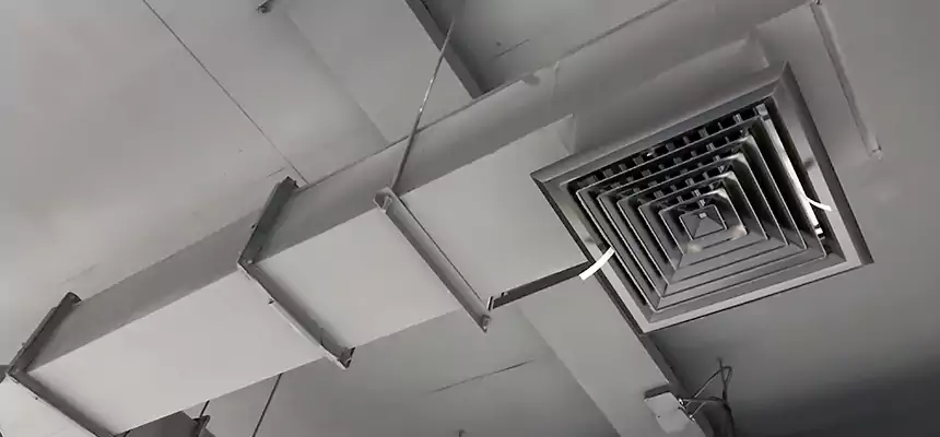 Our Rodent Droppings In Vents Services in Junction City, KS