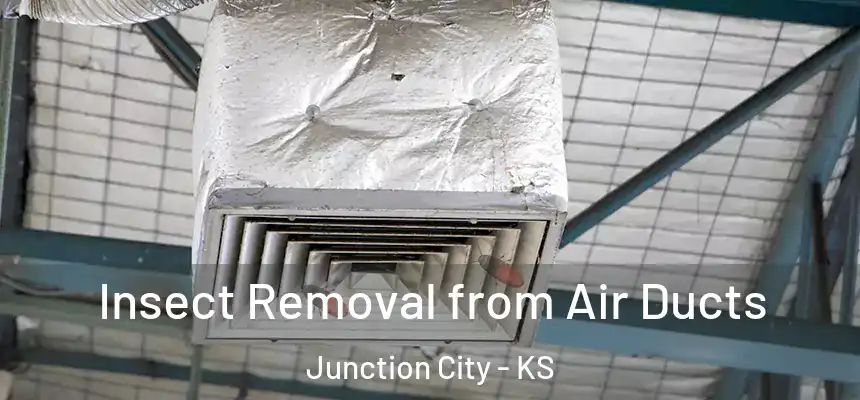 Insect Removal from Air Ducts Junction City - KS