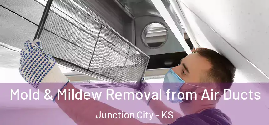  Mold & Mildew Removal from Air Ducts Junction City - KS