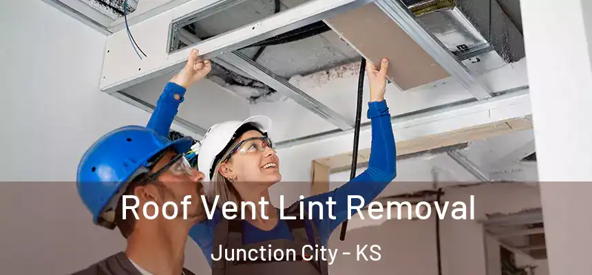  Roof Vent Lint Removal Junction City - KS