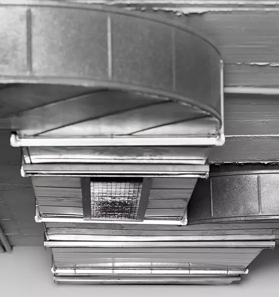 Professional Air Duct Pest Removal in Junction City, KS