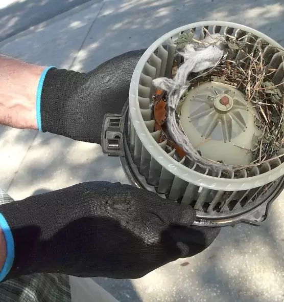 About Air Duct Rat Removal in Junction City, KS