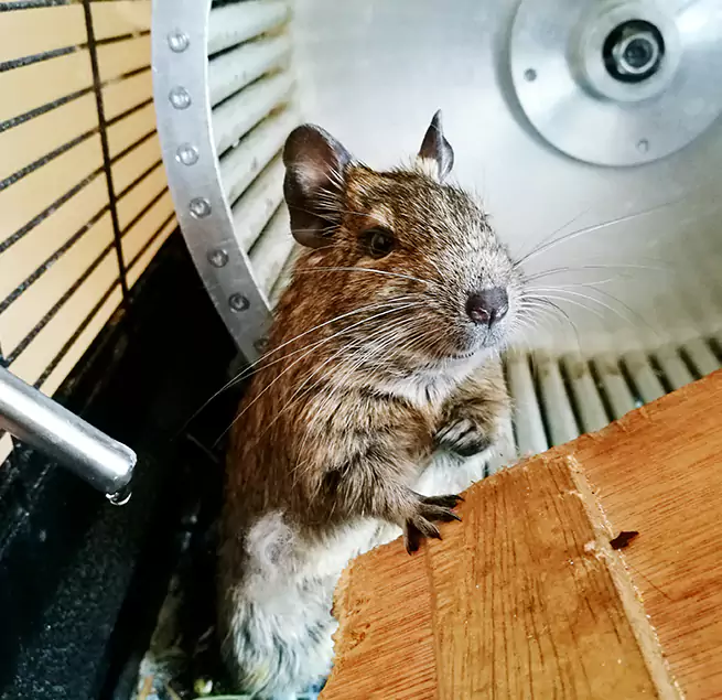 Why Homeowners & Businesses Trust Us Junction City, KS