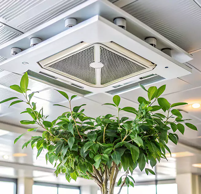 Why Homeowners & Businesses Trust Us in Junction City, KS?